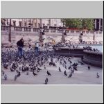 trafalgarsquare-lotsapigeons.jpg