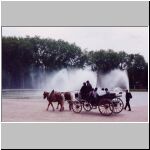 versailles-buggy.jpg
