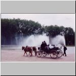 versailles-buggy.jpg