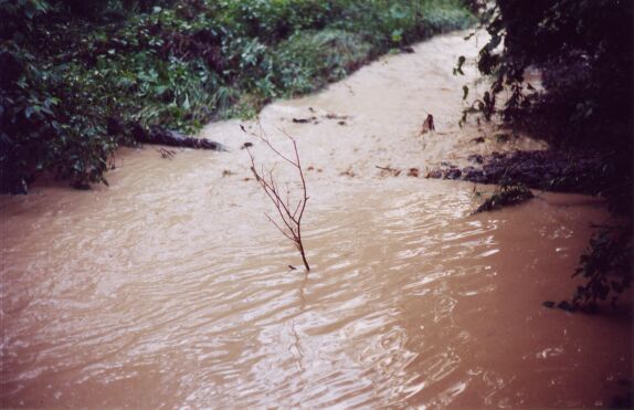 A very muddy and disgusting looking stream.