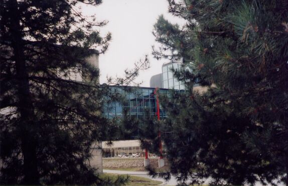 Another view of the overpass through some trees.