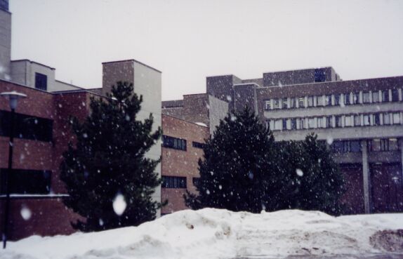 The Math building almost looks nice behind the snow.
