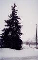 snowing